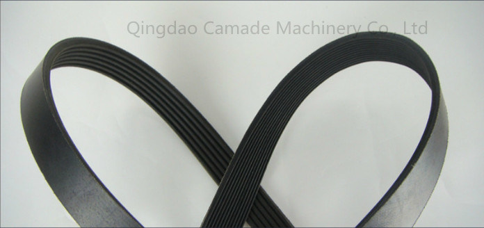 Auto Body Belt with High Quality