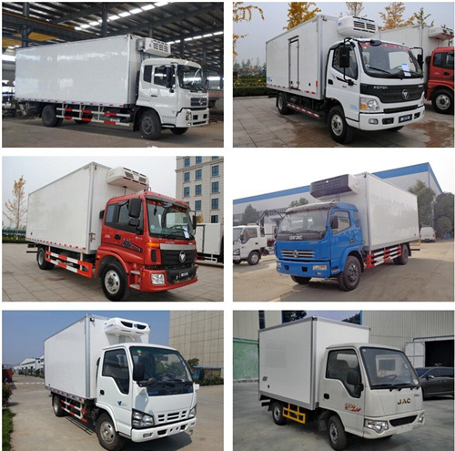 Mini Refrigerator Cold Freezer Transport Trucks 2.5 Tonne Gvw Refrigerated Box Vans for Sale