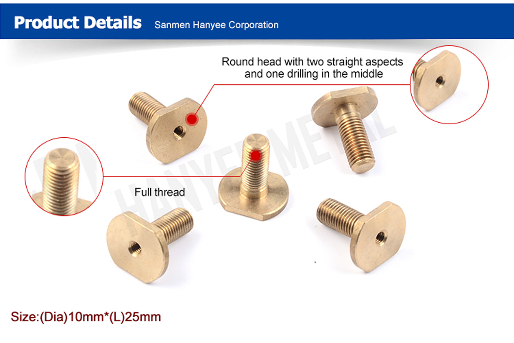 20-Year Experience Fasctory Special Usage T Shape Bolt with Internal Thread