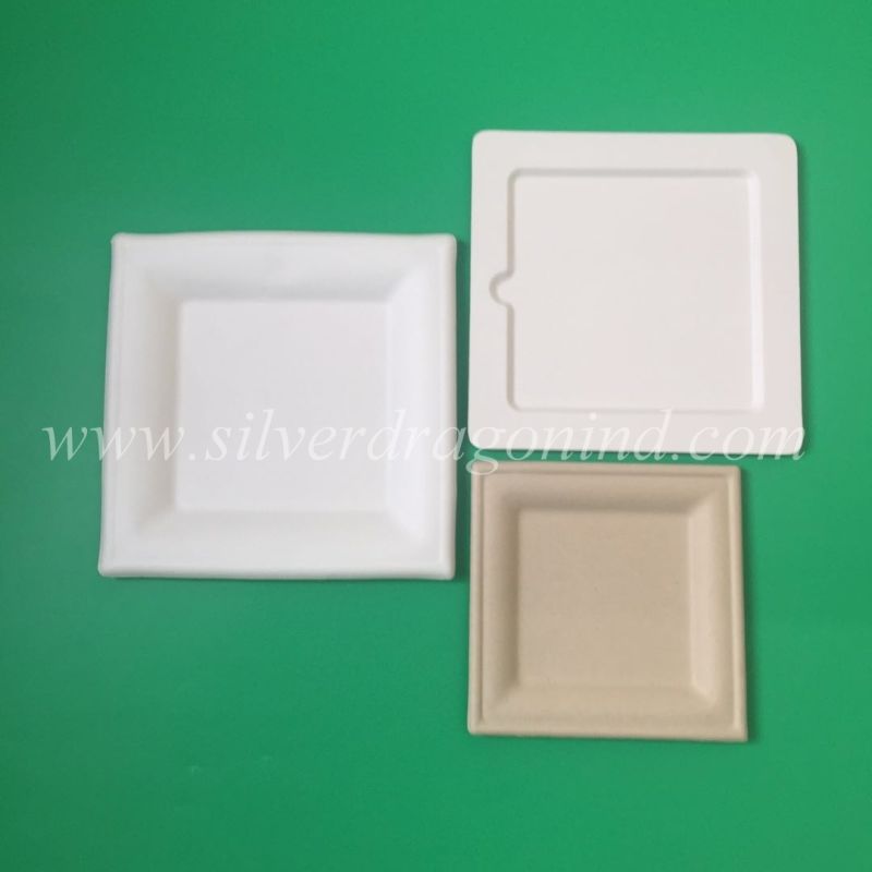 China Made Eco-Friendly Disposable Sugarcane Pulp Paper Plate