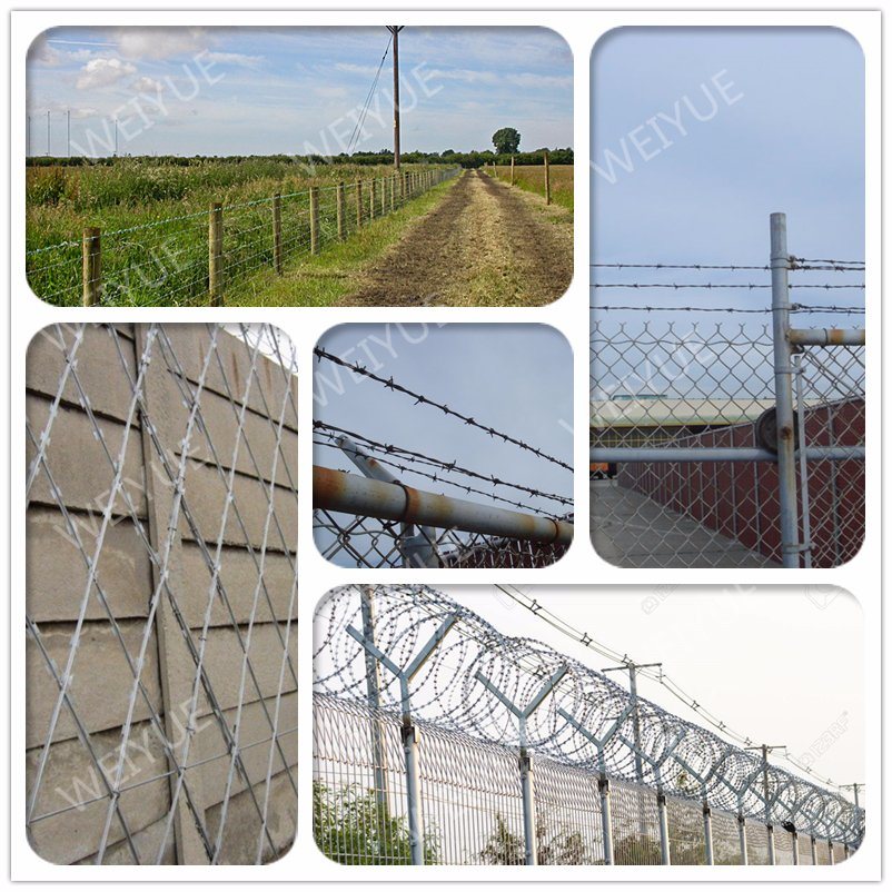 Galvanized PVC Coated Security Concertina Razor Barbed Wire