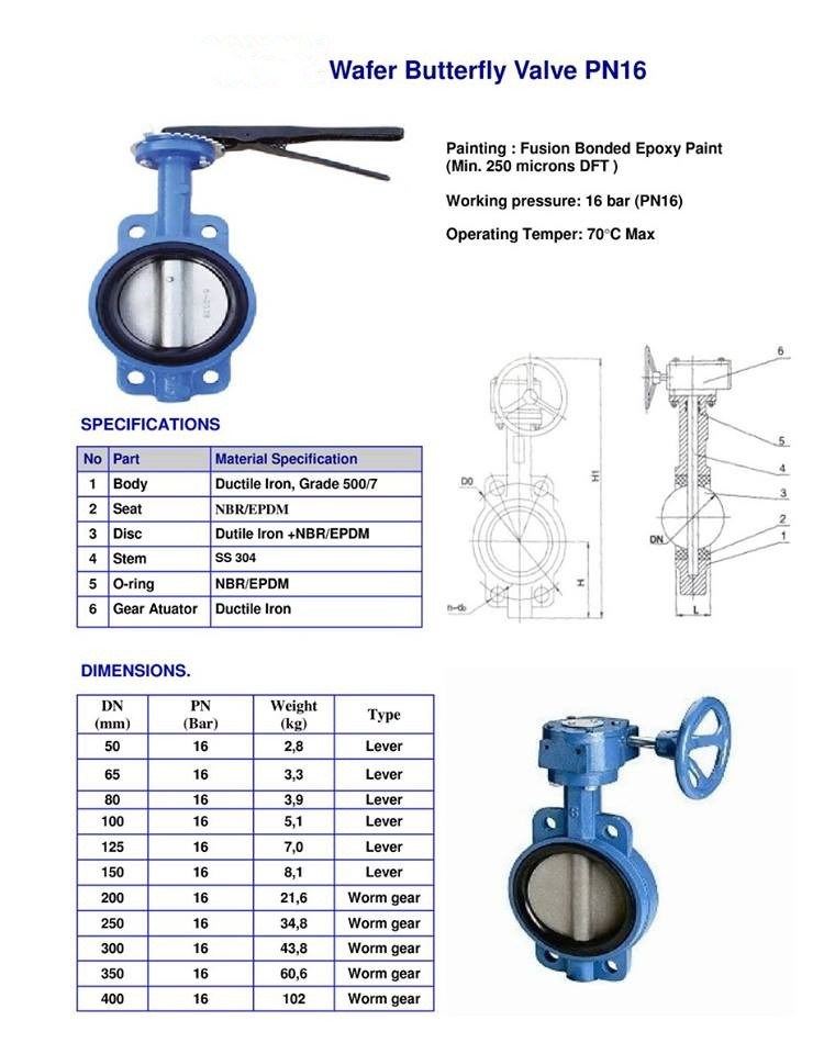 DIN/ANSI Cast Iron Wafer Double Stem Butterfly Valve