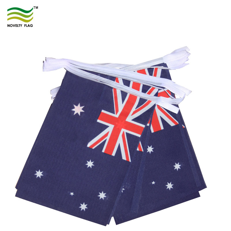 Cheap Polyester Bunting Flag (B-NF11F02010)