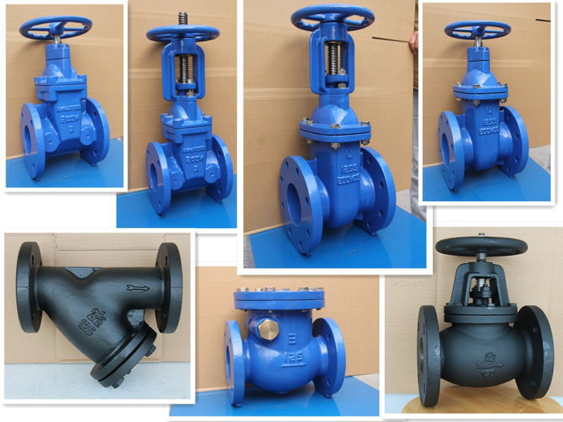 Cast Iron Swing Check Valve