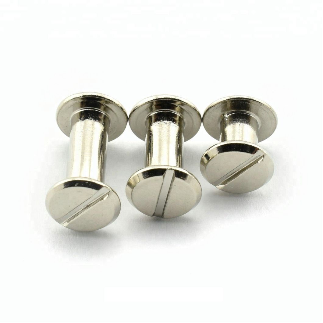 China Manufacture Stainless Steel Rivet Screw