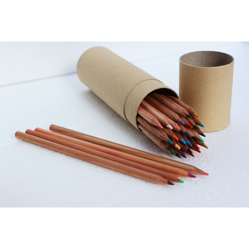 High Quality 24 Colored Pencils in Paper Tube