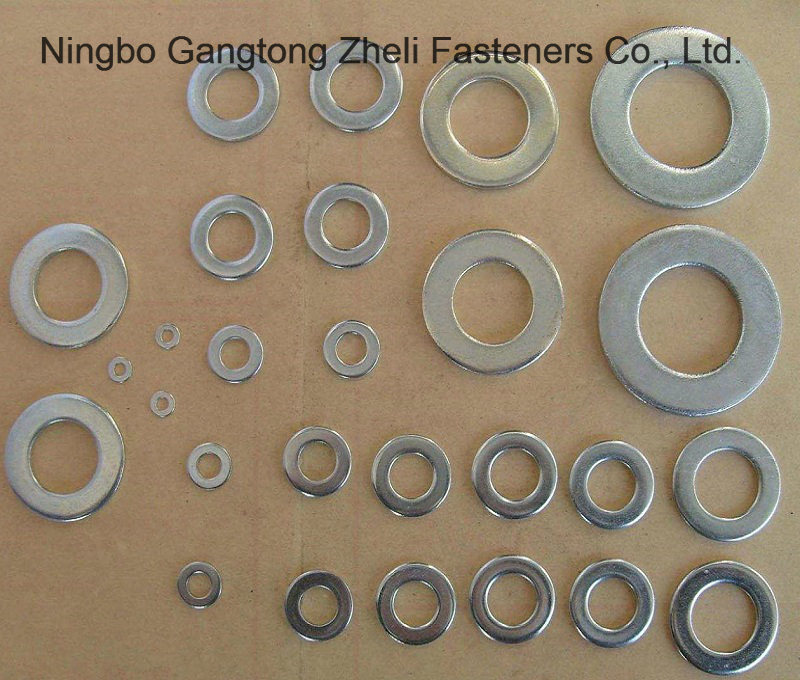 Stainless Steel 304 316 DIN125 Spring Washer