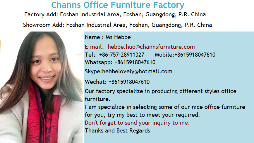 New Style Office Leather Chair with Metal Arms (CAS-EC1822)