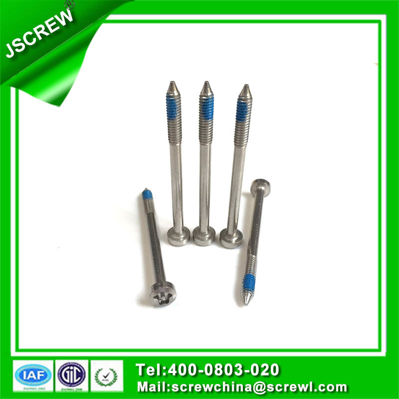 China High Quality M6 Good Fastener and Screw, Non Standard Anti-Theft Screw