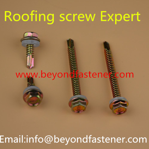 Screw Self Drilling Screw Bi-Metal Screw