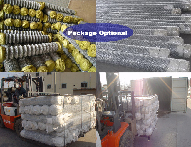 Security PVC Coated Galvanized Chain Link Mesh Fence Supplies