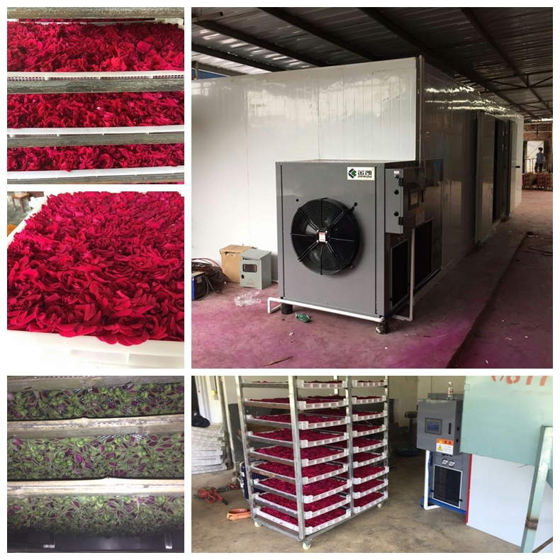 Hot Air Circle Oregano Drying Equipment, Rose Dehumidifier