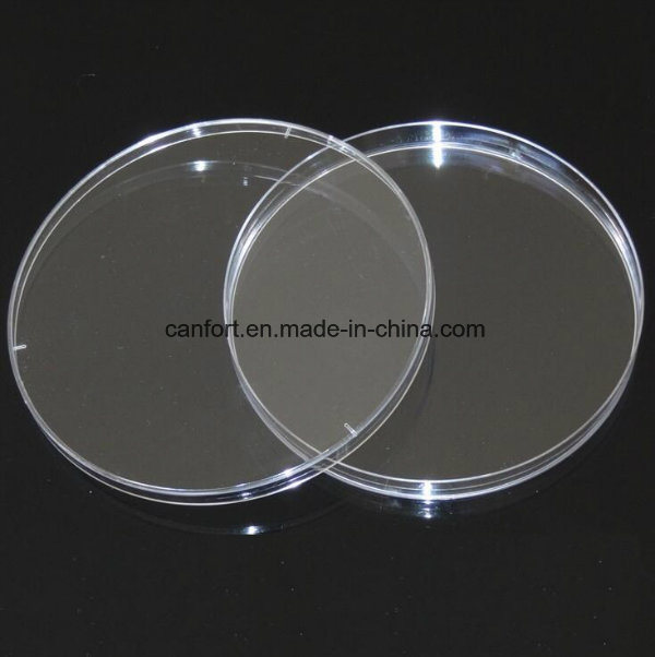 Disposable Plastic Petri Dish with Low Prices