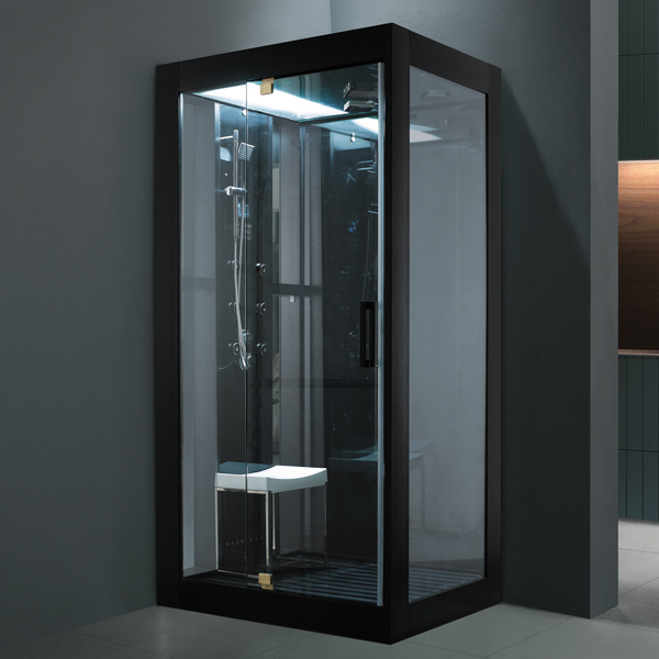 Monalisa New Popular Shower Steam Room (M-8282)