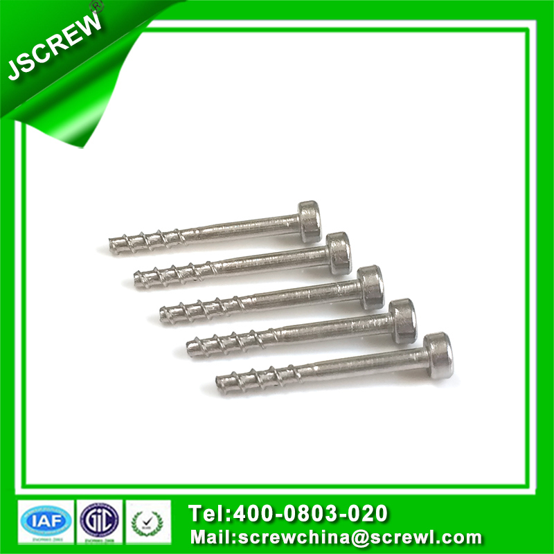 Metric Screw Socket Head Cap Self Tapping Screw