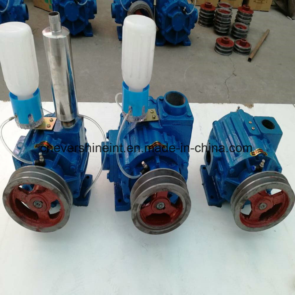 Oil Lubricated Single Stage Rotary Vane Automatic Vacuum Pump