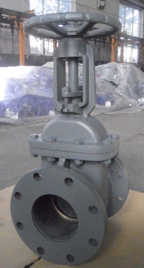 Standard ANSI Cast Iron Gate Valve Supplier