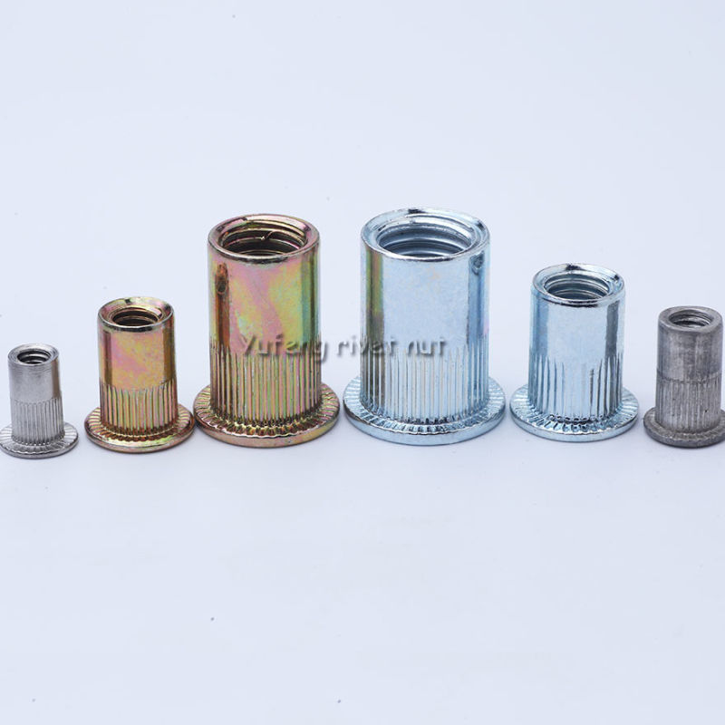 Carbon Steel /Stainless Steel Flat Head Knurled/Round Body Rivet Nut