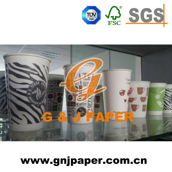 Double PE Coated Hot Paper Cup Used on Hot Drinking