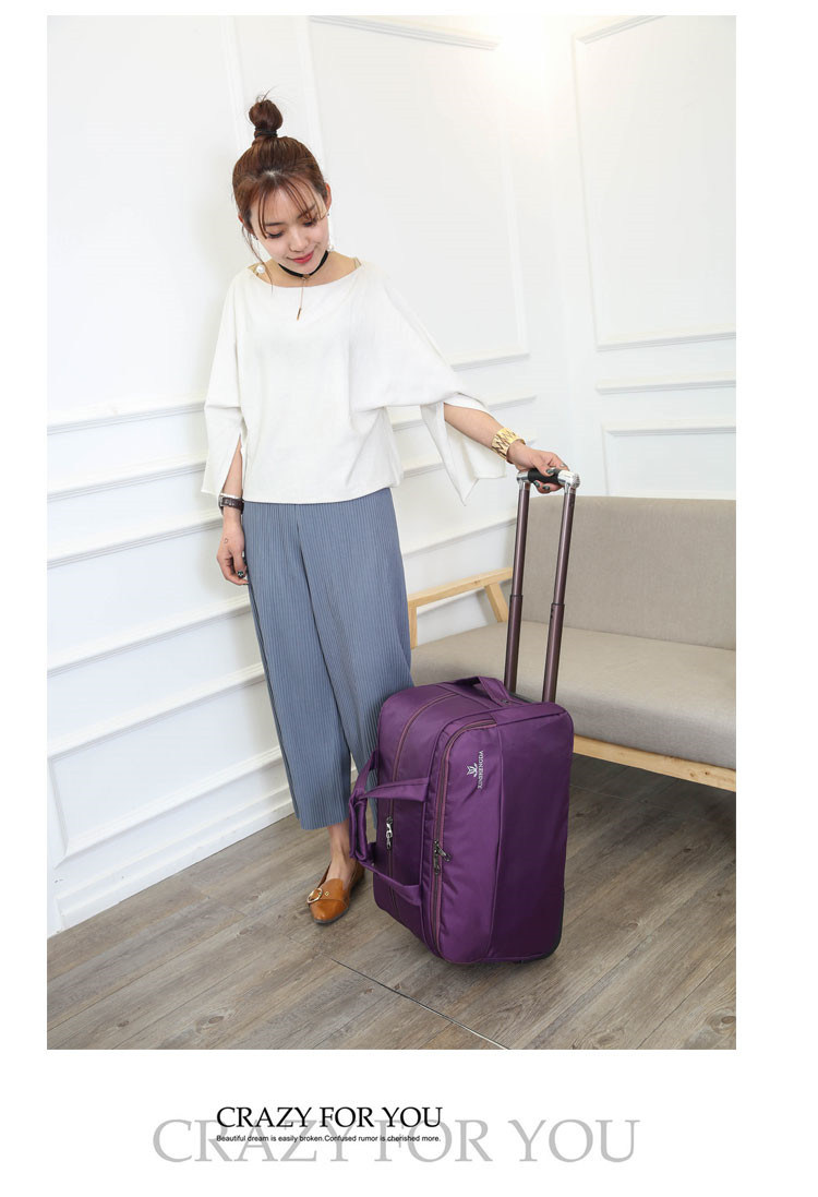 Business Travel Trolley Bag with Padded Laptop Compartment