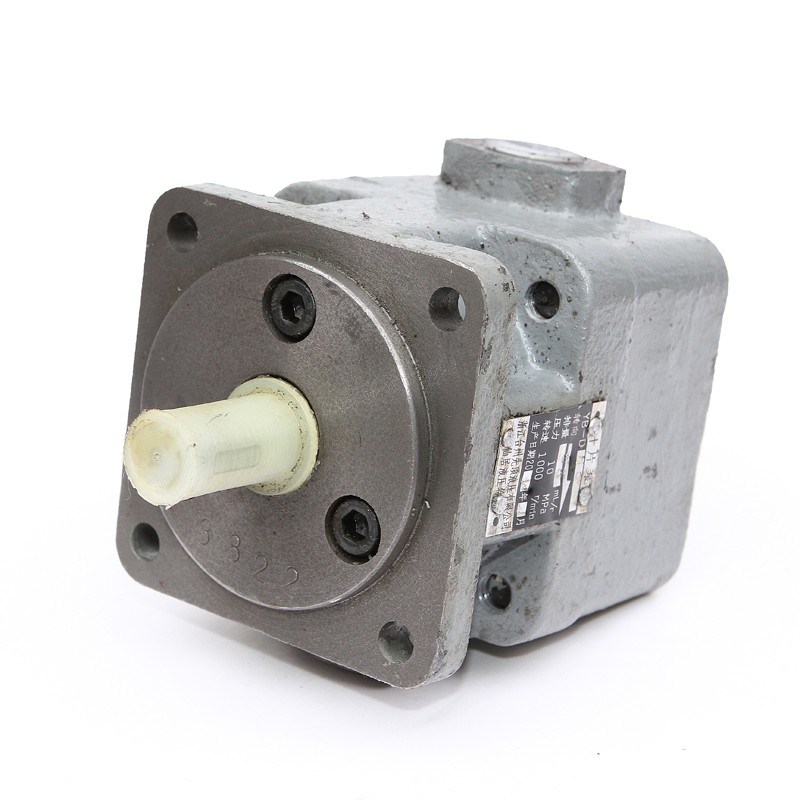 Top Quality Vane Pump Yb-D40 Yb-D50 Yb-D63 Yb-D80 Yb-D100 with Low Price