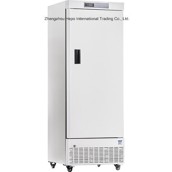 Large Capacity 330L Upgrade Style -25 Degree Deep Freezer