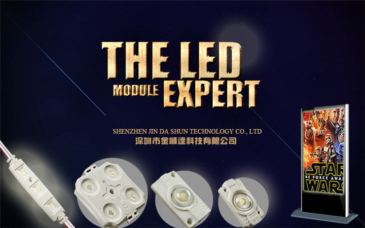 High Power R/G/B/Y/W IP67 DC12V LED Injection Module 5050 SMD LED