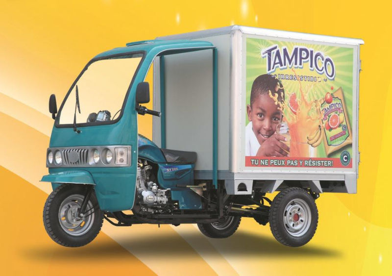 Enclosed Auto Vehicle Closed Bajaj Cargo Rickshaw with Box for Sale