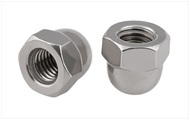 Stainless Steel Slotted Hex Cap Nut