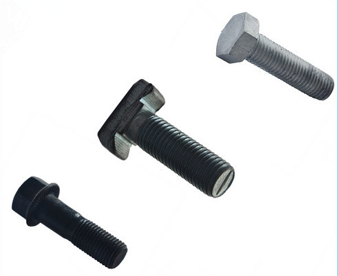 ASTM A325 Heavy Hex Head Bolts/Structural Bolt