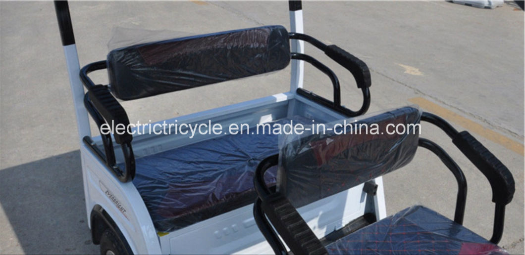 Hybrid 60V Motor Electric Three Wheeler Tricycle for Passenger