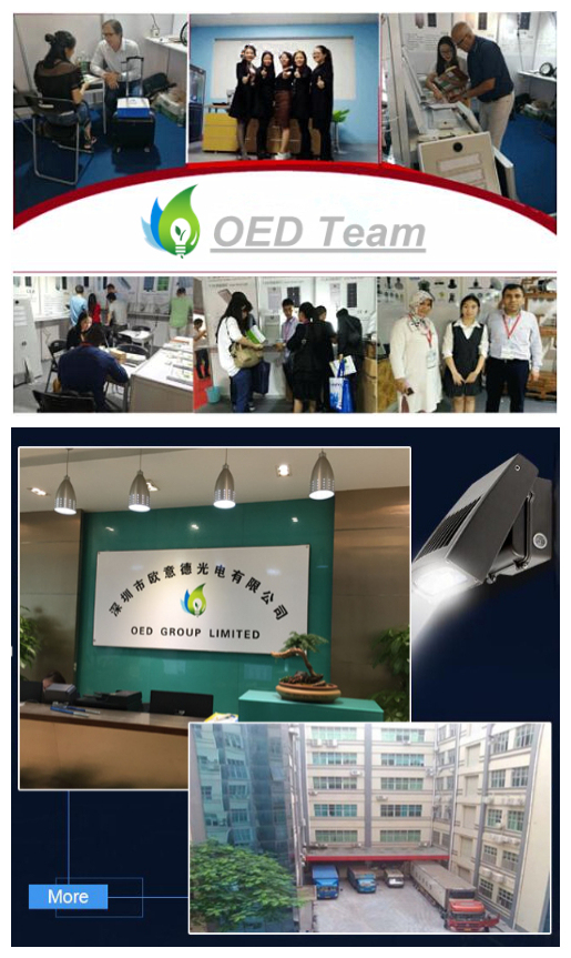 Adjustable Light 15 Degrees 24 Degrees Without Fan 8W 10W 12W COB LED PAR20 Spotlight with Ce RoHS