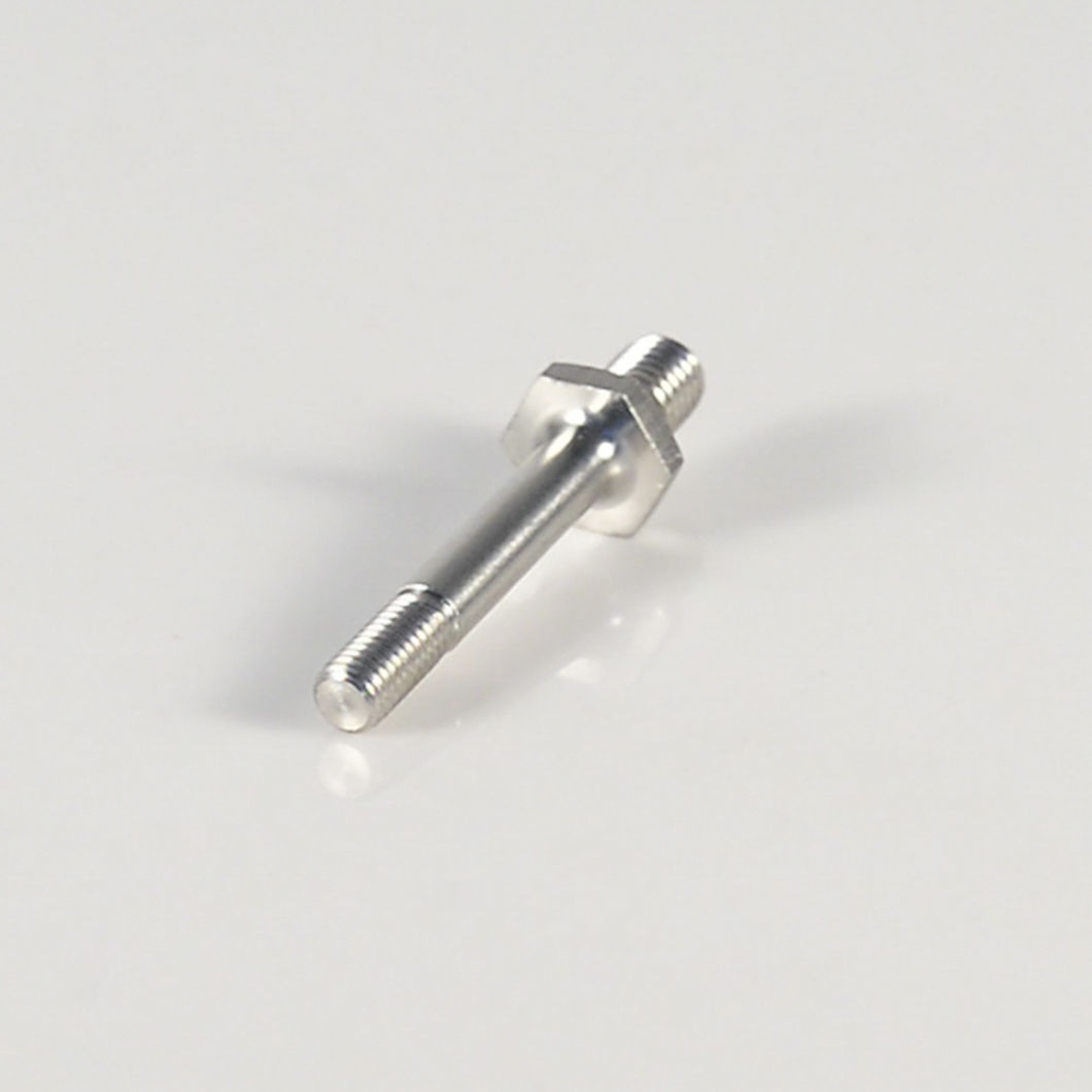 Stainless Steel Ss304 Hex Plug Bolt