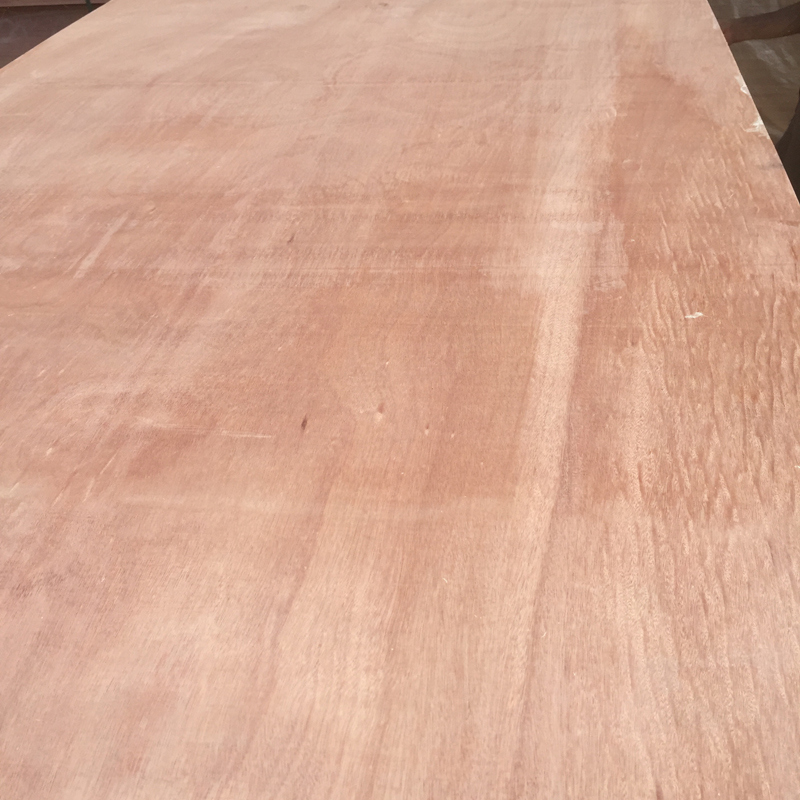 Red Hard Wood Face Plywood Europe Market AAA Grade