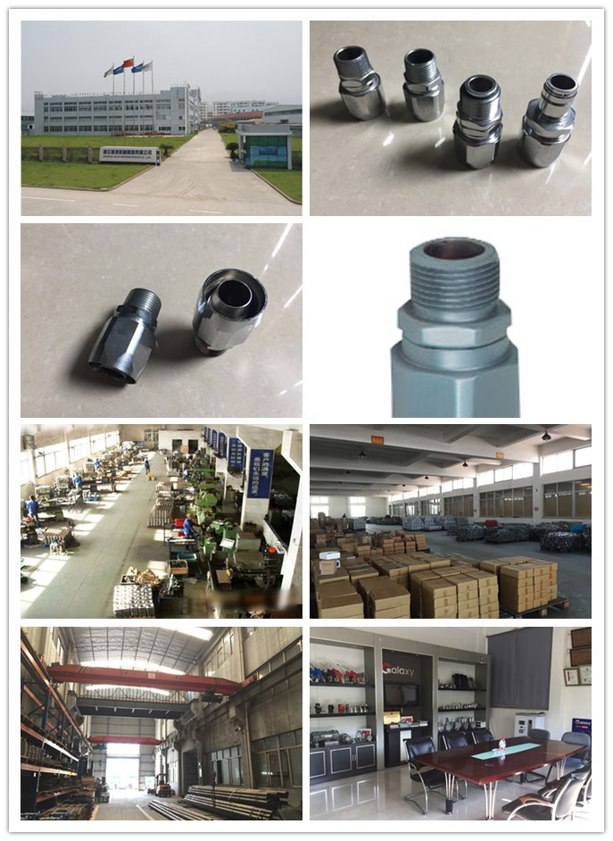 Factory Supply Hose Fitting with Sight Oil Indicator G1/2