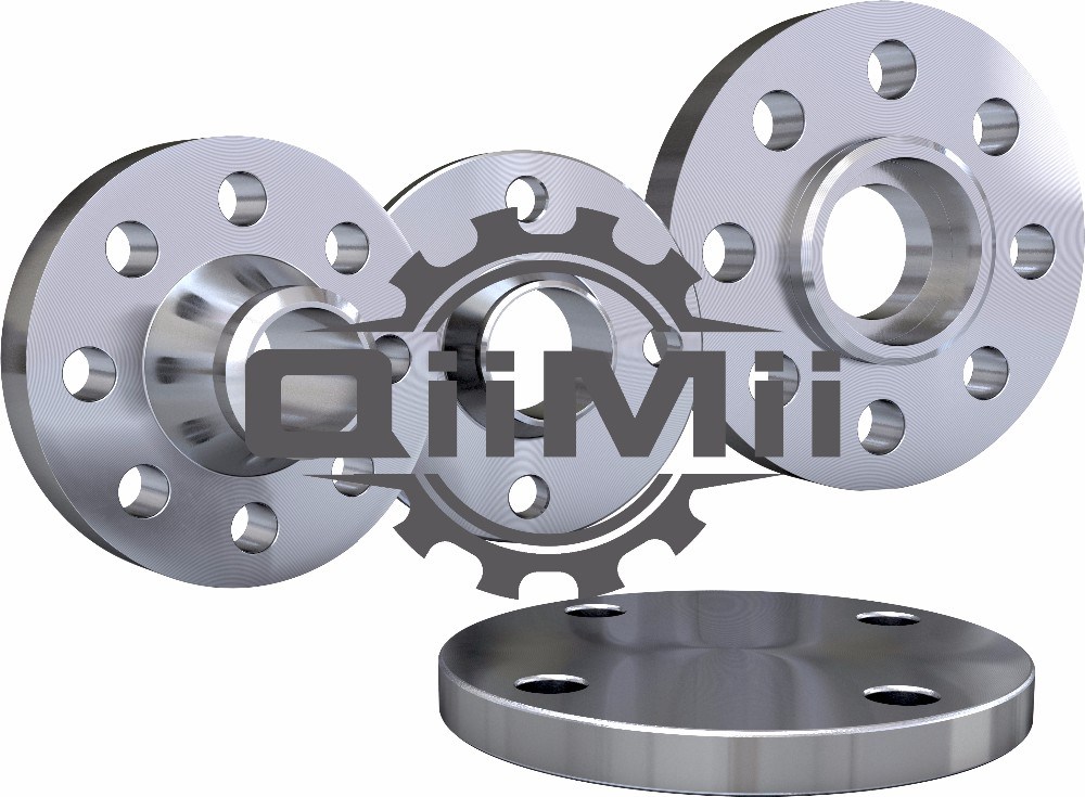 Ss304/3116L Stainless Steel Forged Pipe Flange
