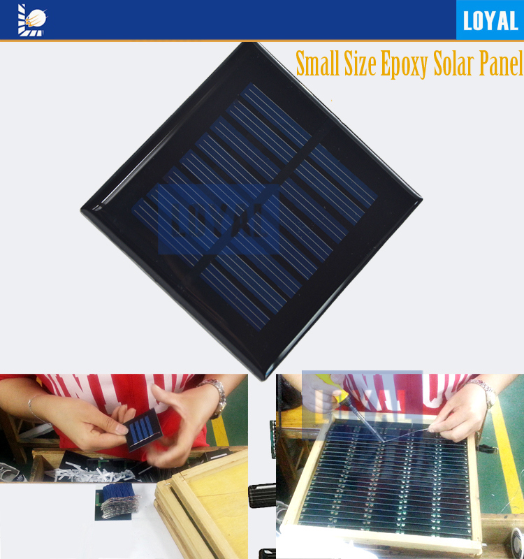 Loyal Customized Pet Solar Power Small Mini Epoxy Solar Cells
