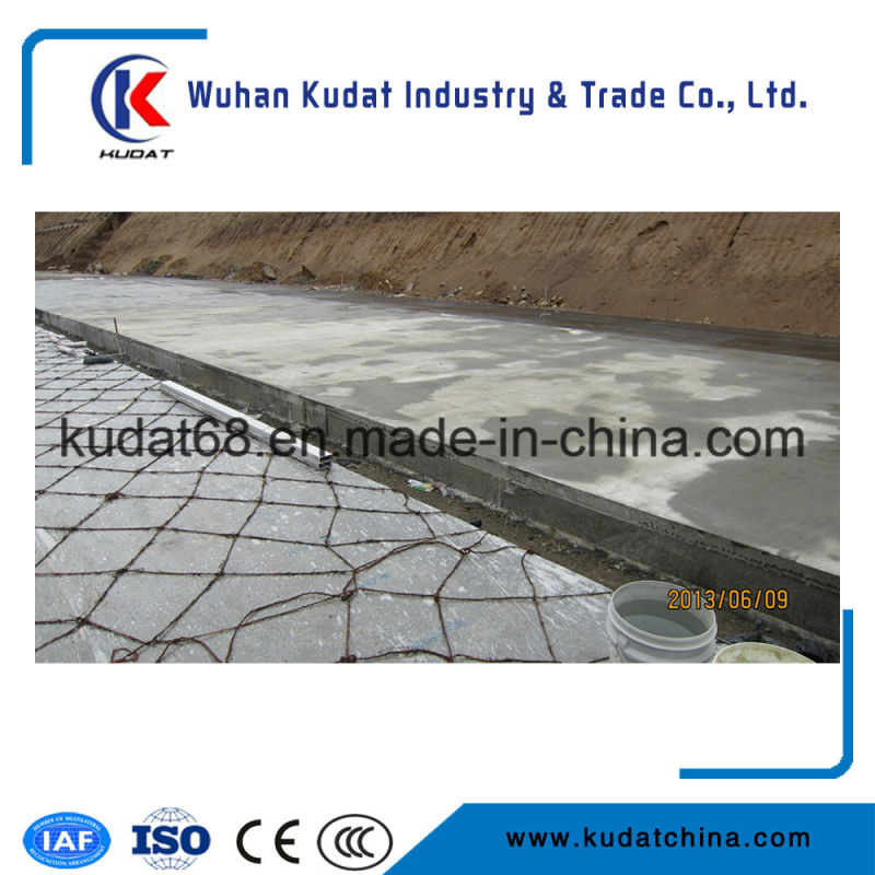 1220maxi Pav Cement Concrete Road Paver