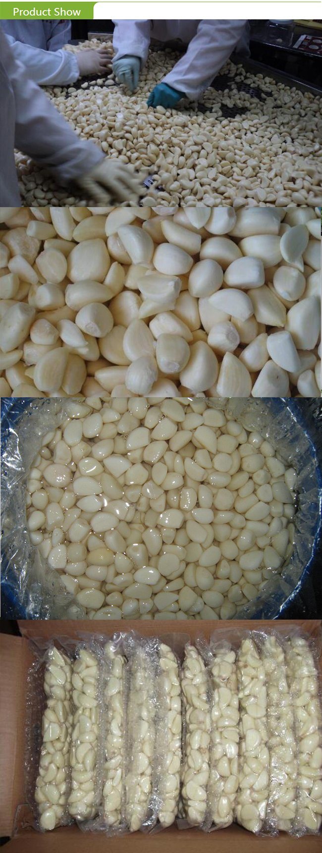 White Chinese Garlic Cloves with Good Price