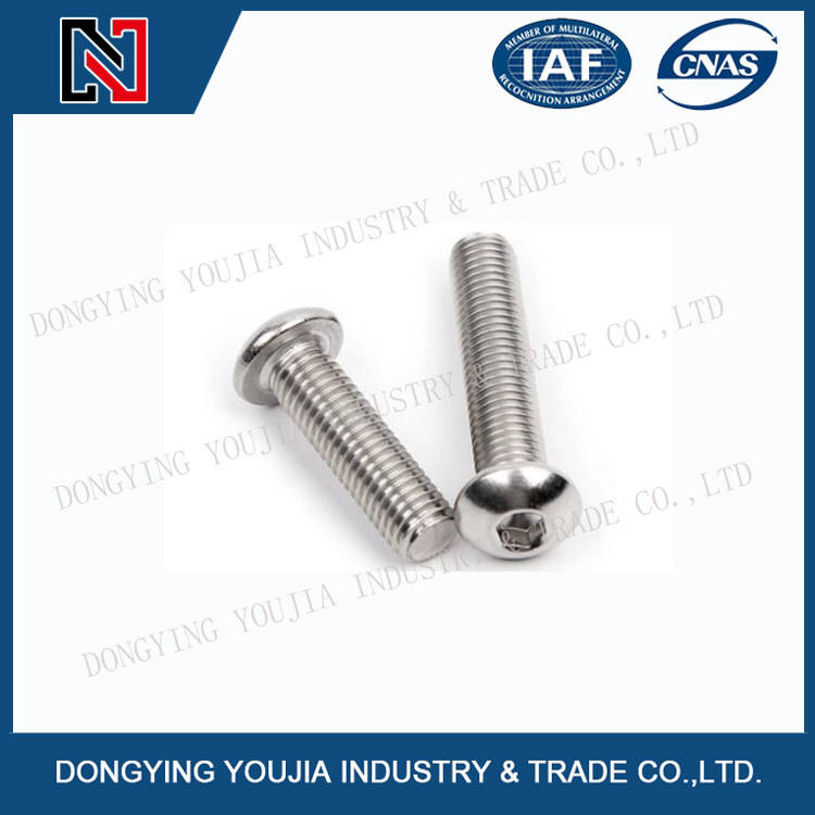 Jisb1174 Stainless Steel Heaxagon Socket Round Head Screw