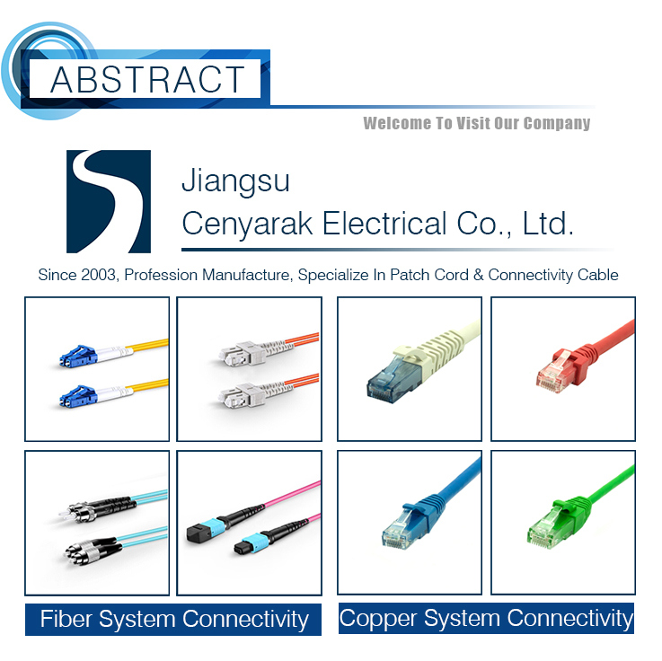 RoHS Compliant PVC Jacket Network Patch Cable