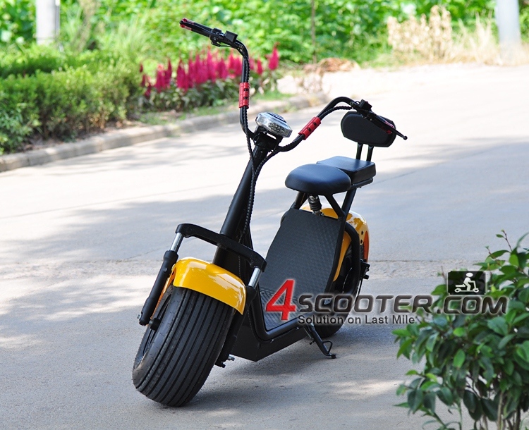 New Products New Design 60V 1000W Popular Scrooser with 2 Wheel Electric Scooter Halley Scooter Long Range for Adult Hot