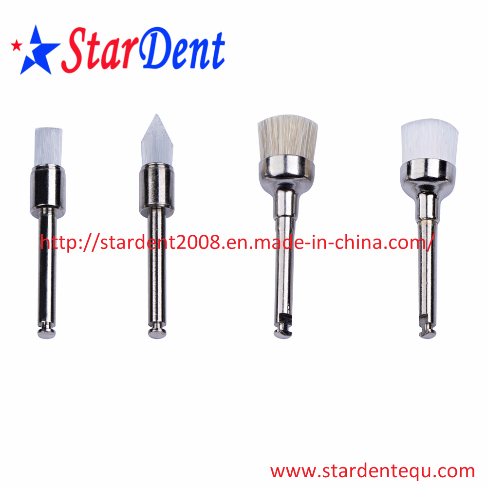 Disposable Prophy Brushes Factory of Dental Hospital Medical Lab Surgical Diagnostic Equipment