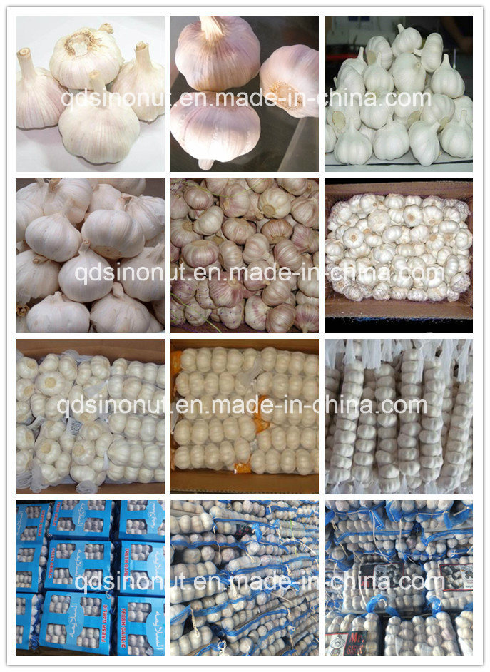 2018 New Crop Chinese Fresh Garlic