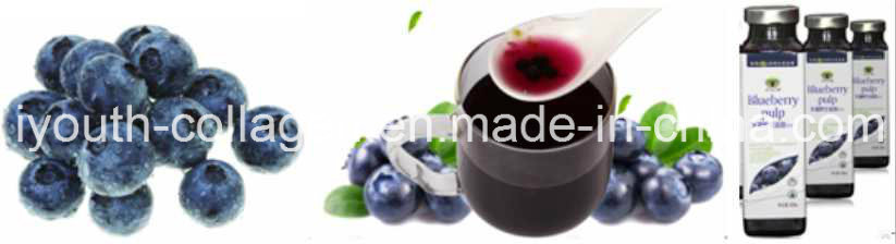 EU Quality Organic Blueberry Pulp/ Fruit Juice, Rich Anthocyanin, SOD, Anticancer, Anti-Aging, Antibacterial, Prevention of Gastric Cancer and Dementia, Food