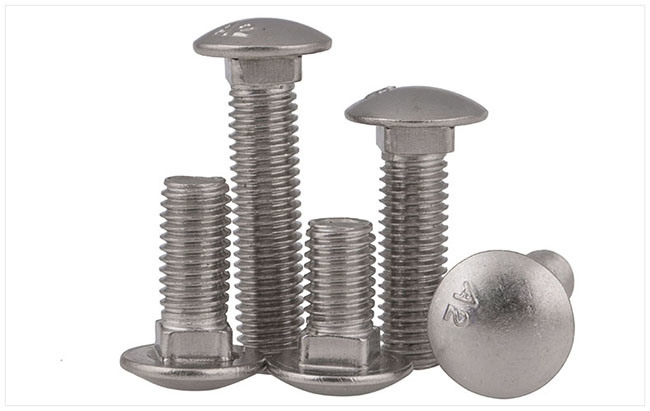 Stainless Steel Hex Head Flange Carriage Bolt & Nut