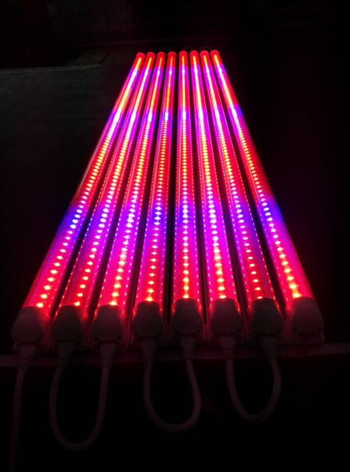 T8 Blue/Red LED Plant Grow Light Tube