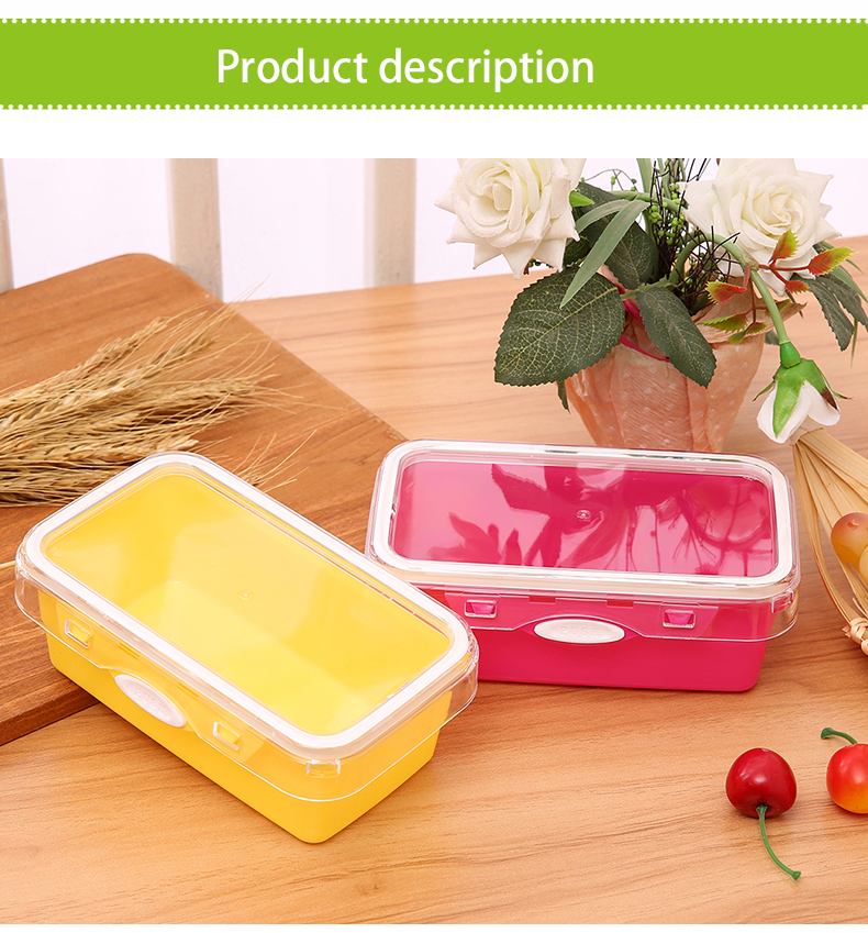 High Quality Kids Plastic Lunch Boxes Double Layer Bento Box