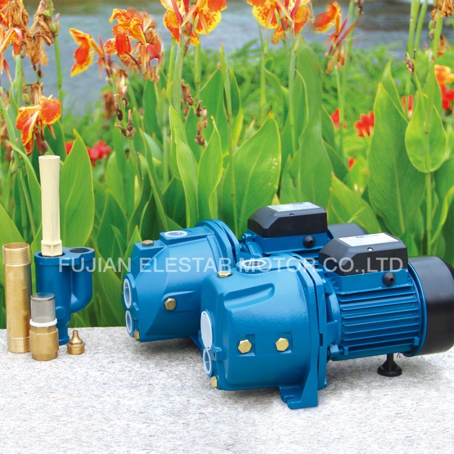 High Suction Head Lift Non Submersible Deep Well Pump