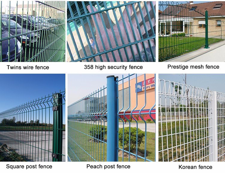 Welded Wire Mesh Fence/Metal Fence Posts (ZKJ)